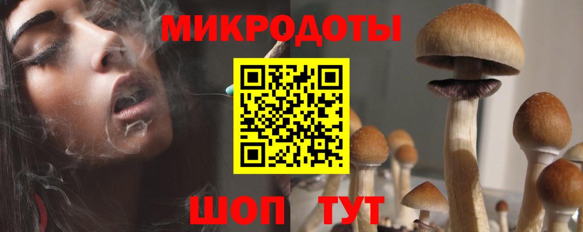Омск  Галлюциногенные грибы Magic Shrooms  Вход с VPN 